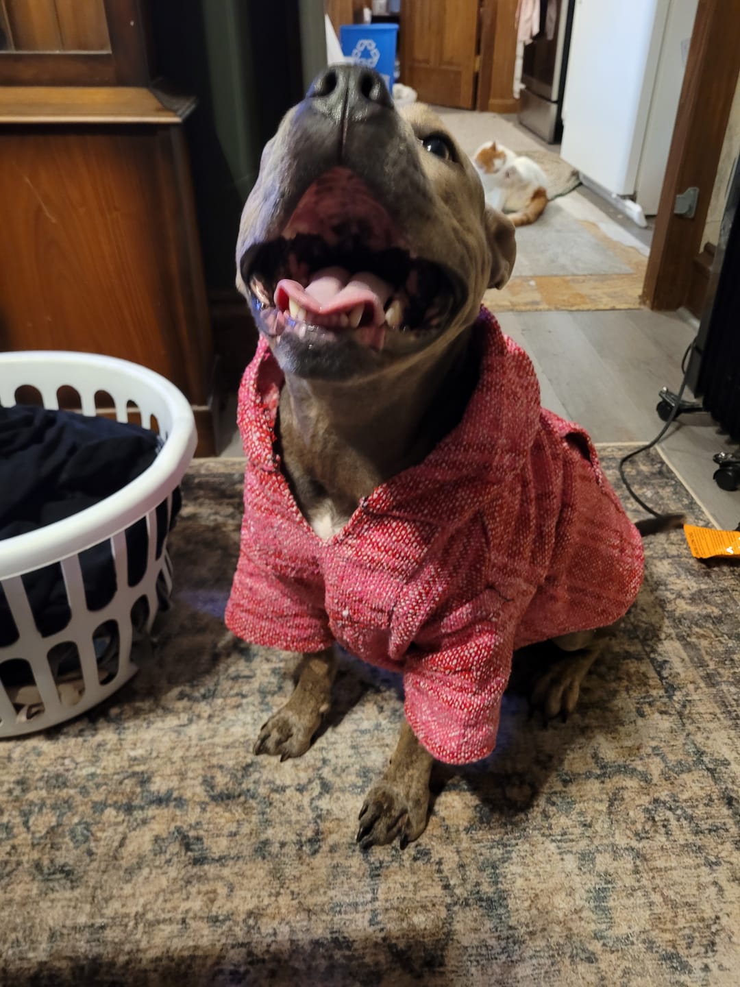 Customer photo review of Playa Poncho – Mystery Color (Bella, Charlie, or Fun Edition)