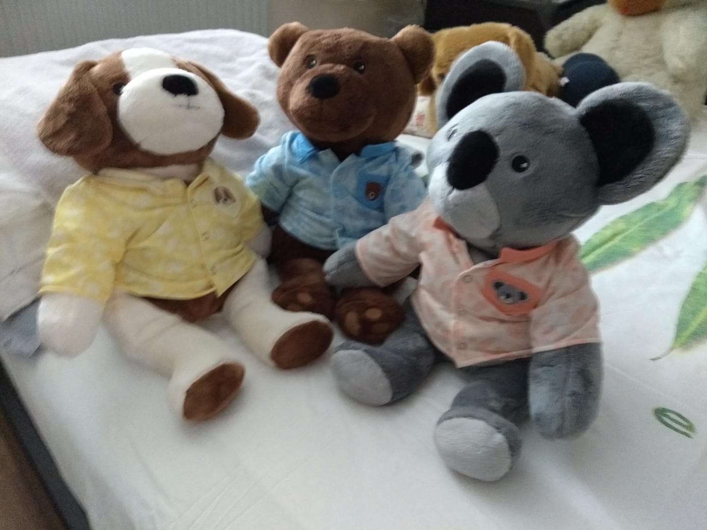 Customer photo review of Hond Kleding Zomer Lotgenootje