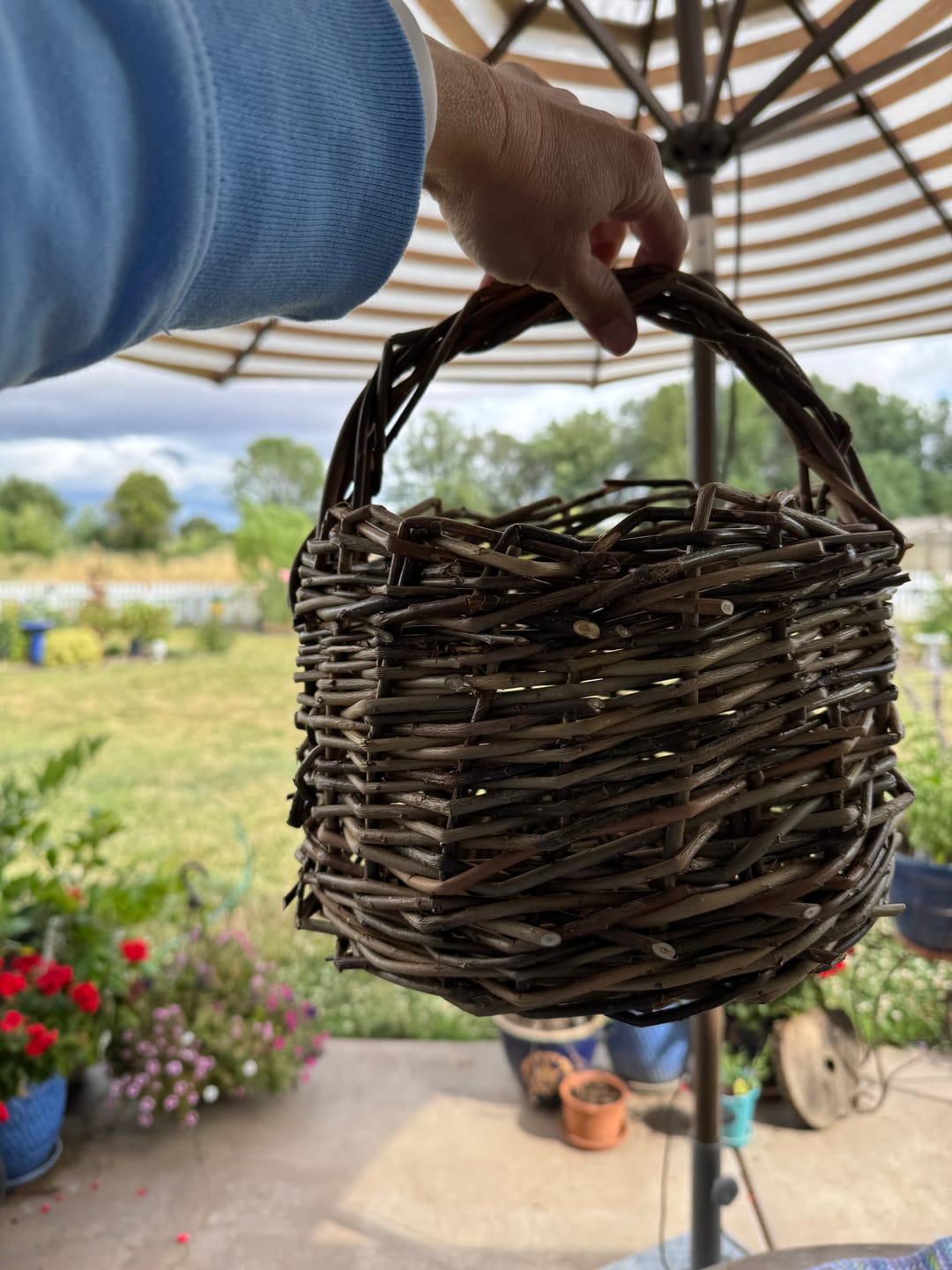 Customer photo review of The Berry Basket Course and Kit