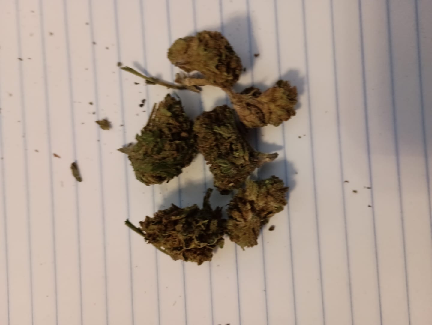 Customer photo review of Super Lemon Haze - 14 Grams - Sativa