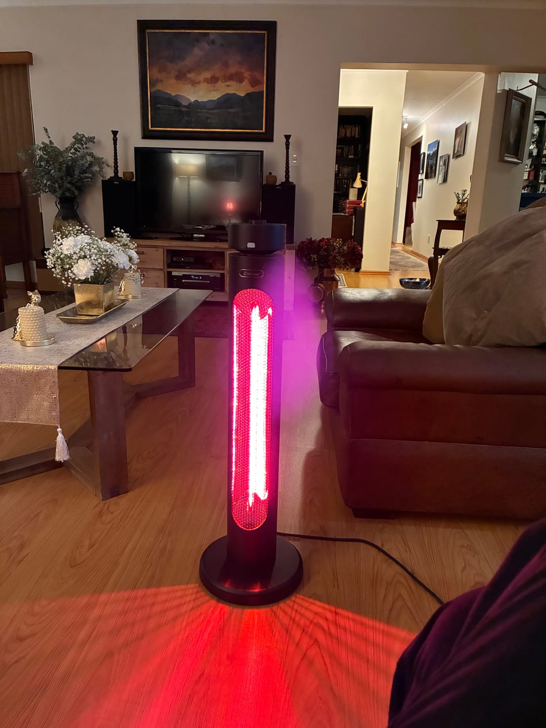 Customer photo review of Indoor & Outdoor Infrared Heater
