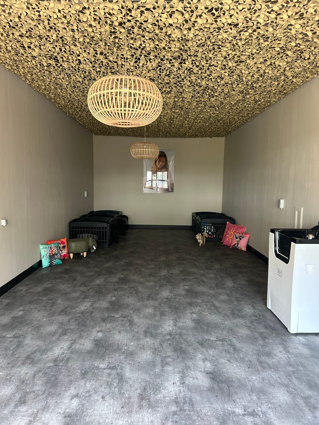 Customer photo review of Beige camouflagenet