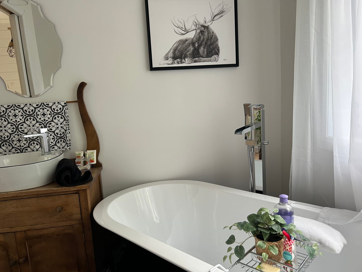 Customer photo review of Majestic Moose, canvas print