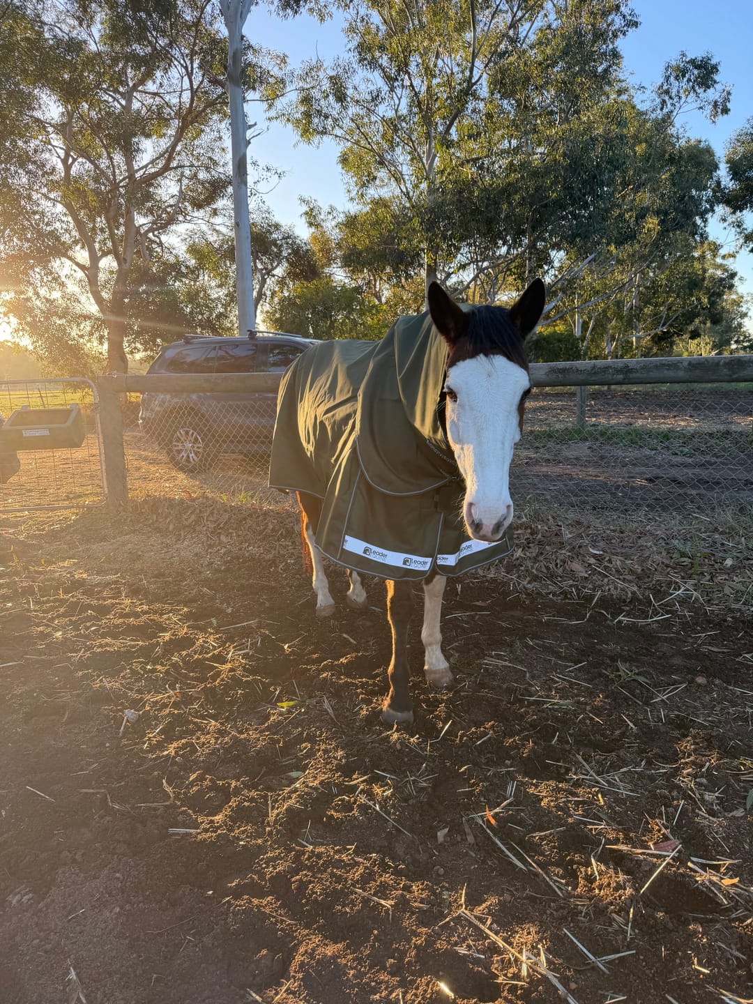 Customer photo review of LE Boxter Turnout 100g