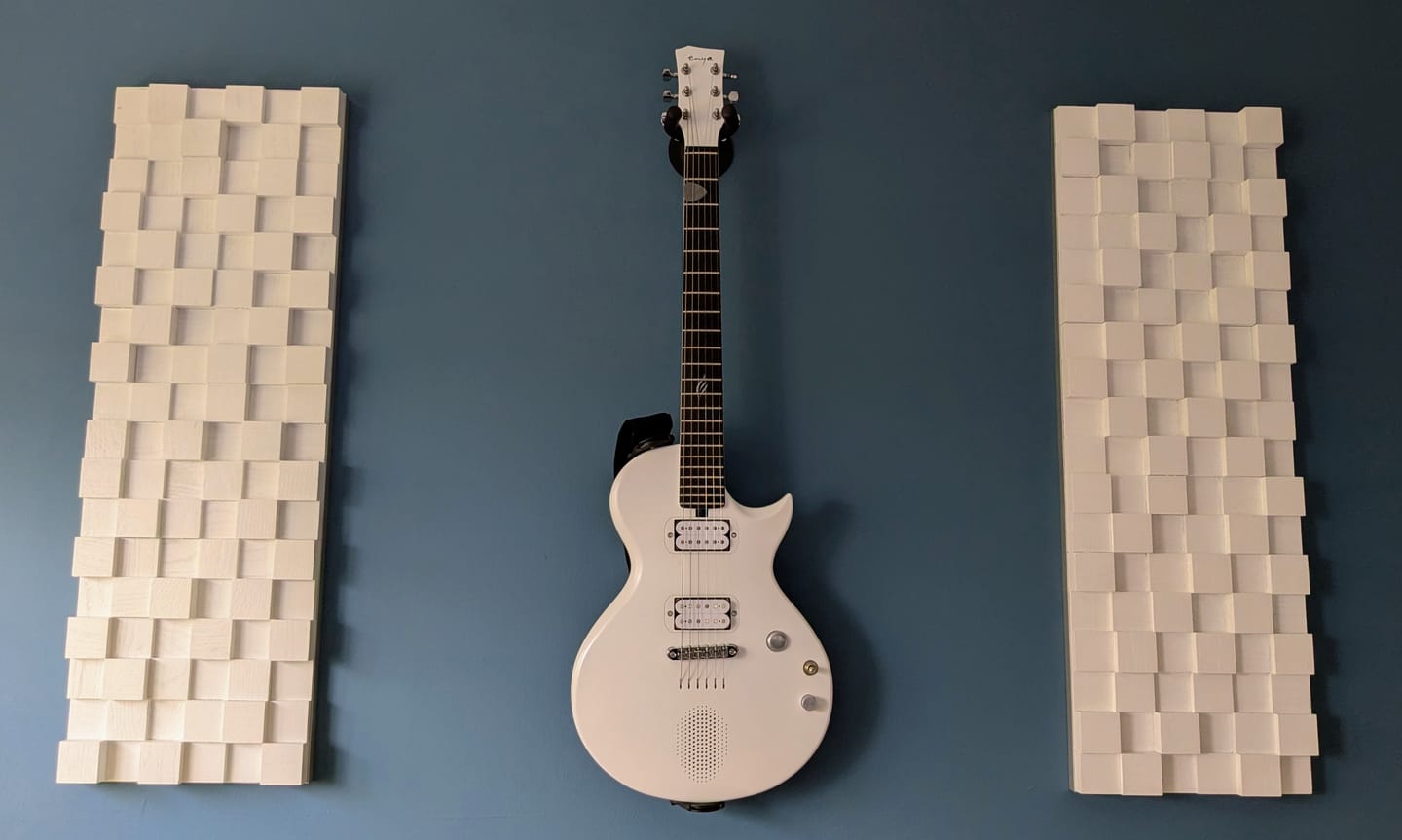 Customer photo review of Nova Go Sonic