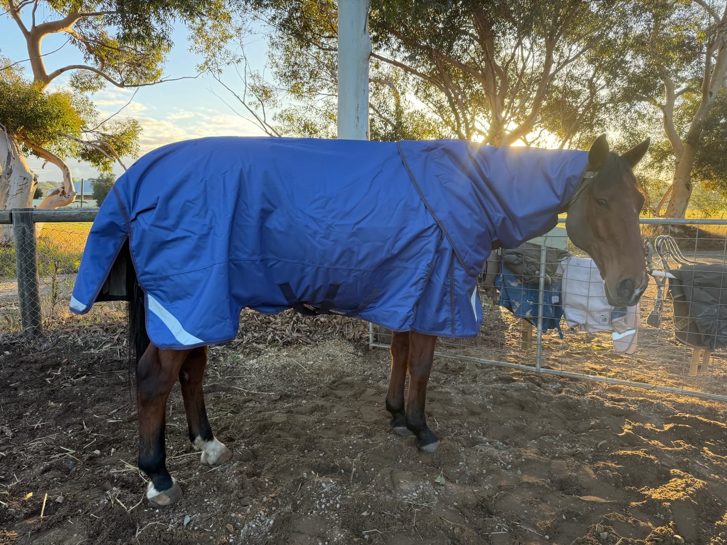 Customer photo review of LE Boxter Turnout Ripstop 200g