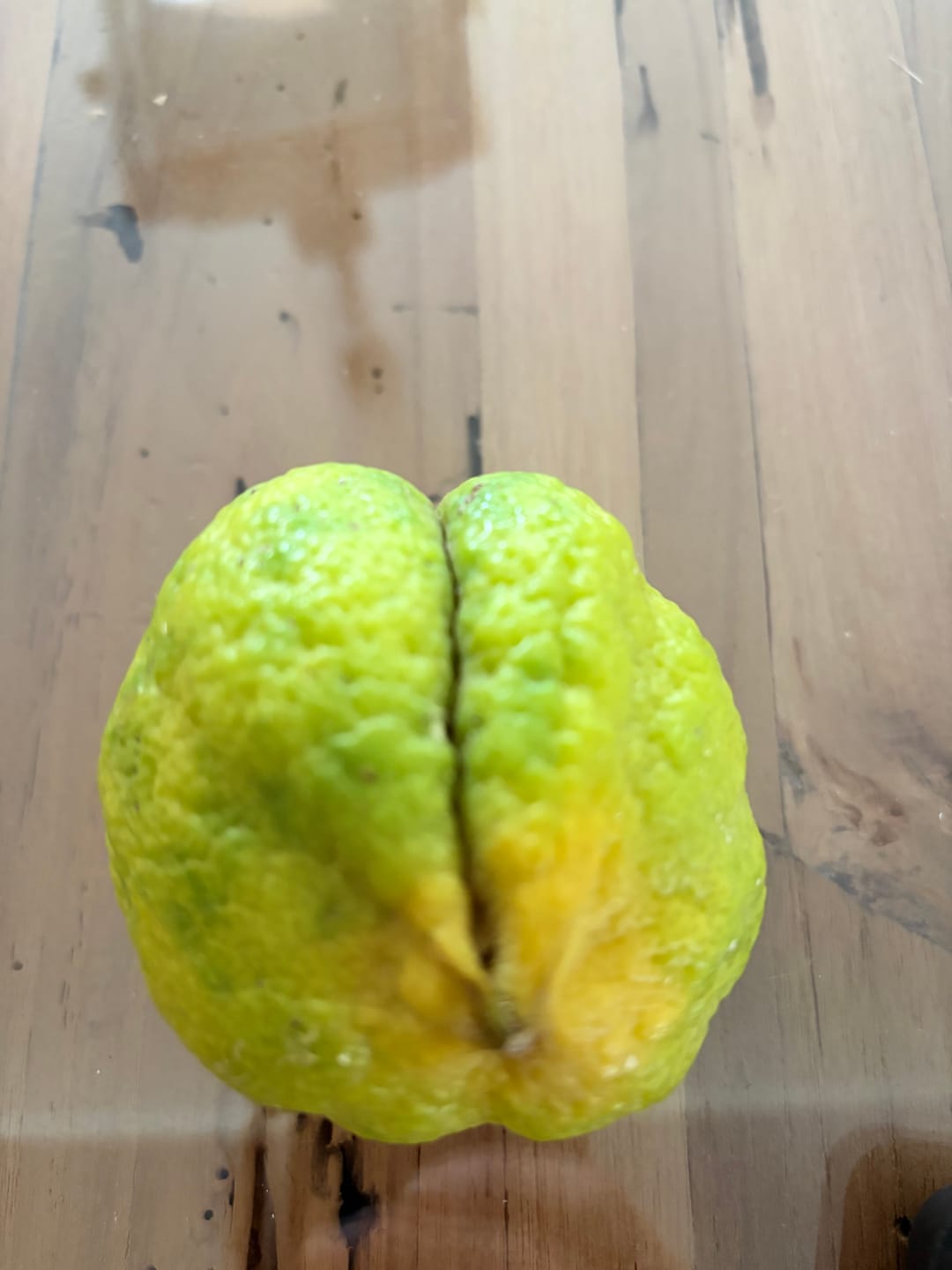 Customer photo review of Bio Obst & Gemüse Retterbox 5kg