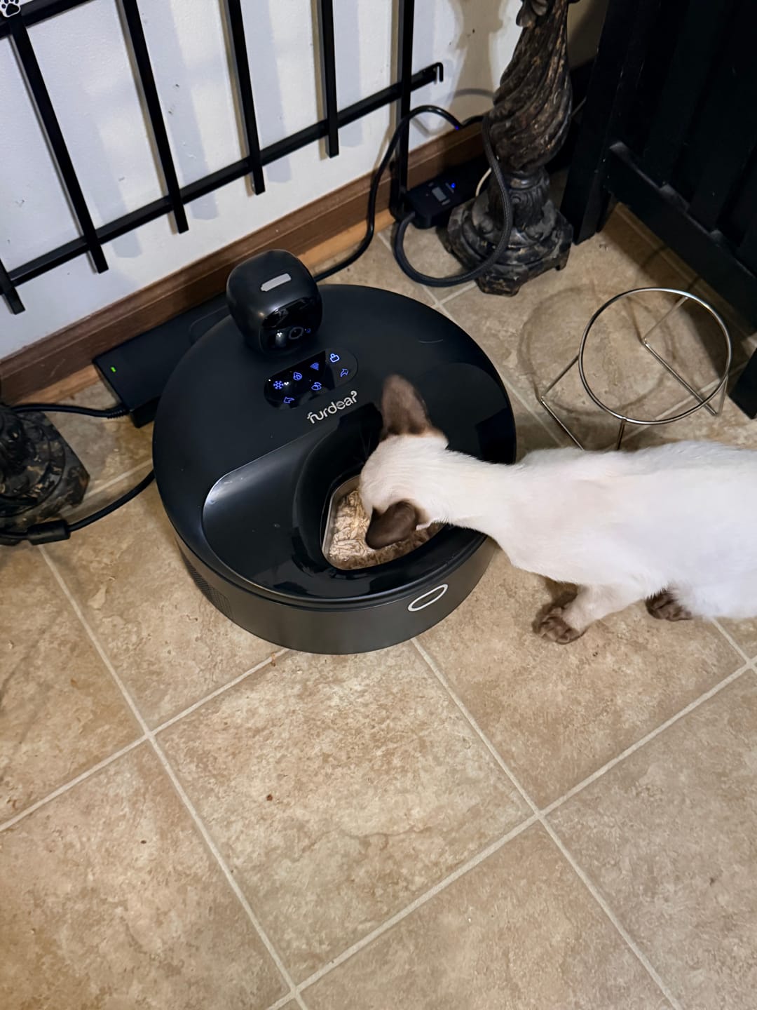Customer photo review of Furdear Europa E1 Cooling & Heating Wet Food Feeder