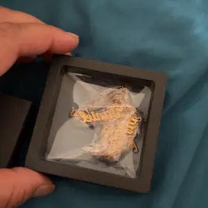 Customer photo review of Custom Multiple Name Necklace