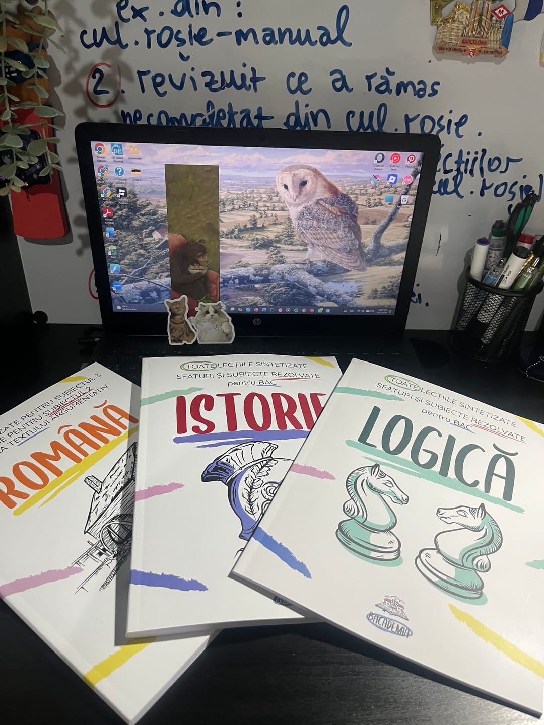 Customer photo review of Pachet Bacalaureat (Română + Istorie + Logică) Bacademia
