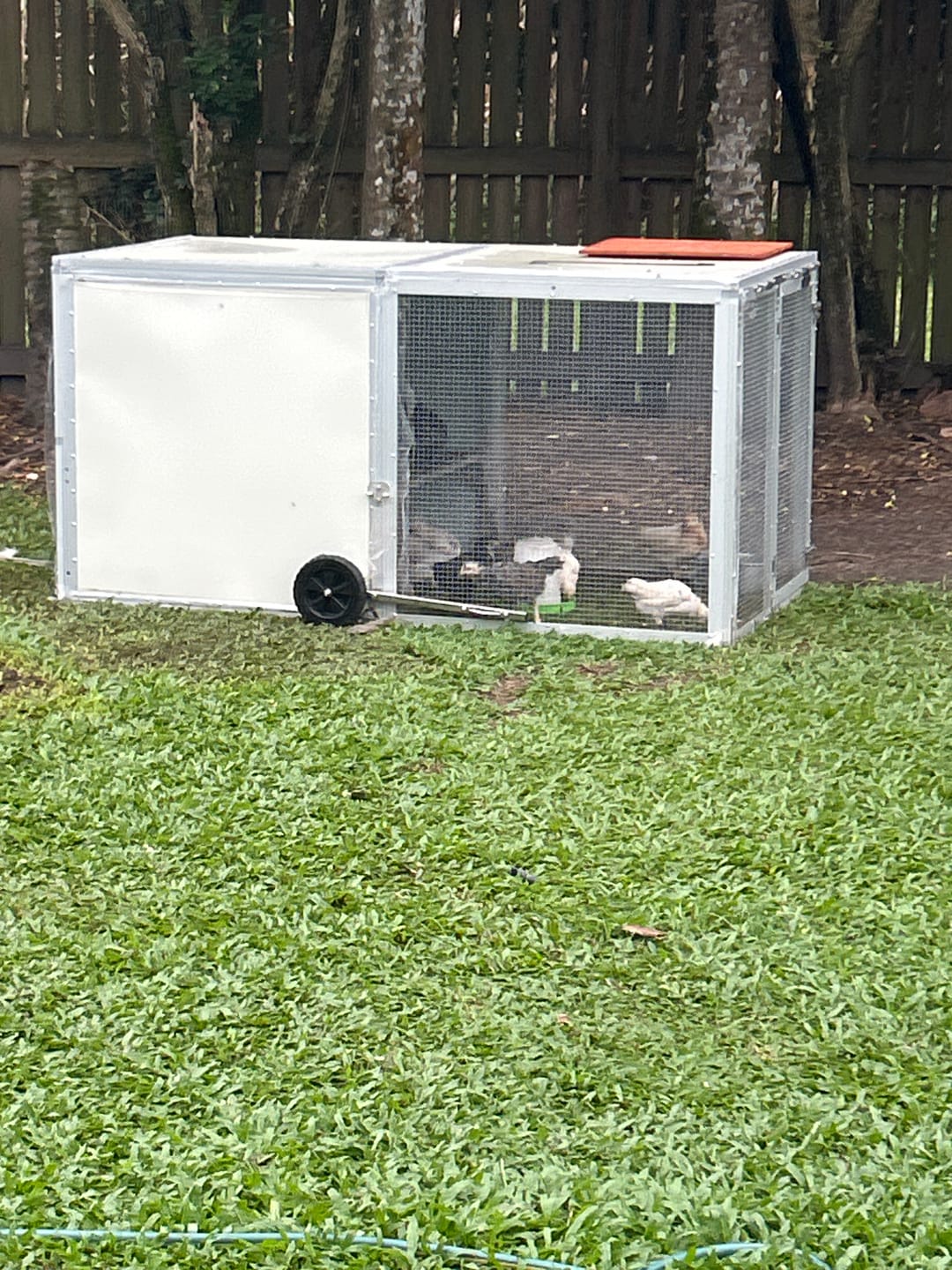 Customer photo review of Mobile Chicken Coop / Chicken Tractor