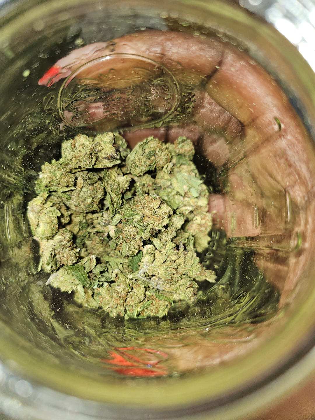 Customer photo review of Alien OG - 4 Grams - Indica