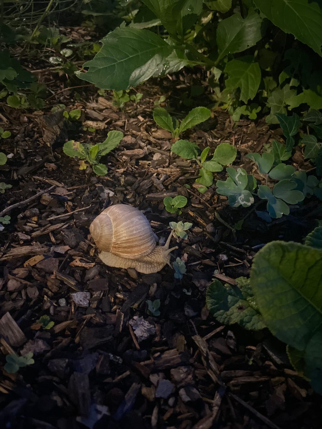 Customer photo review of Edubini Gefunden!® Outdoor Suchspiel