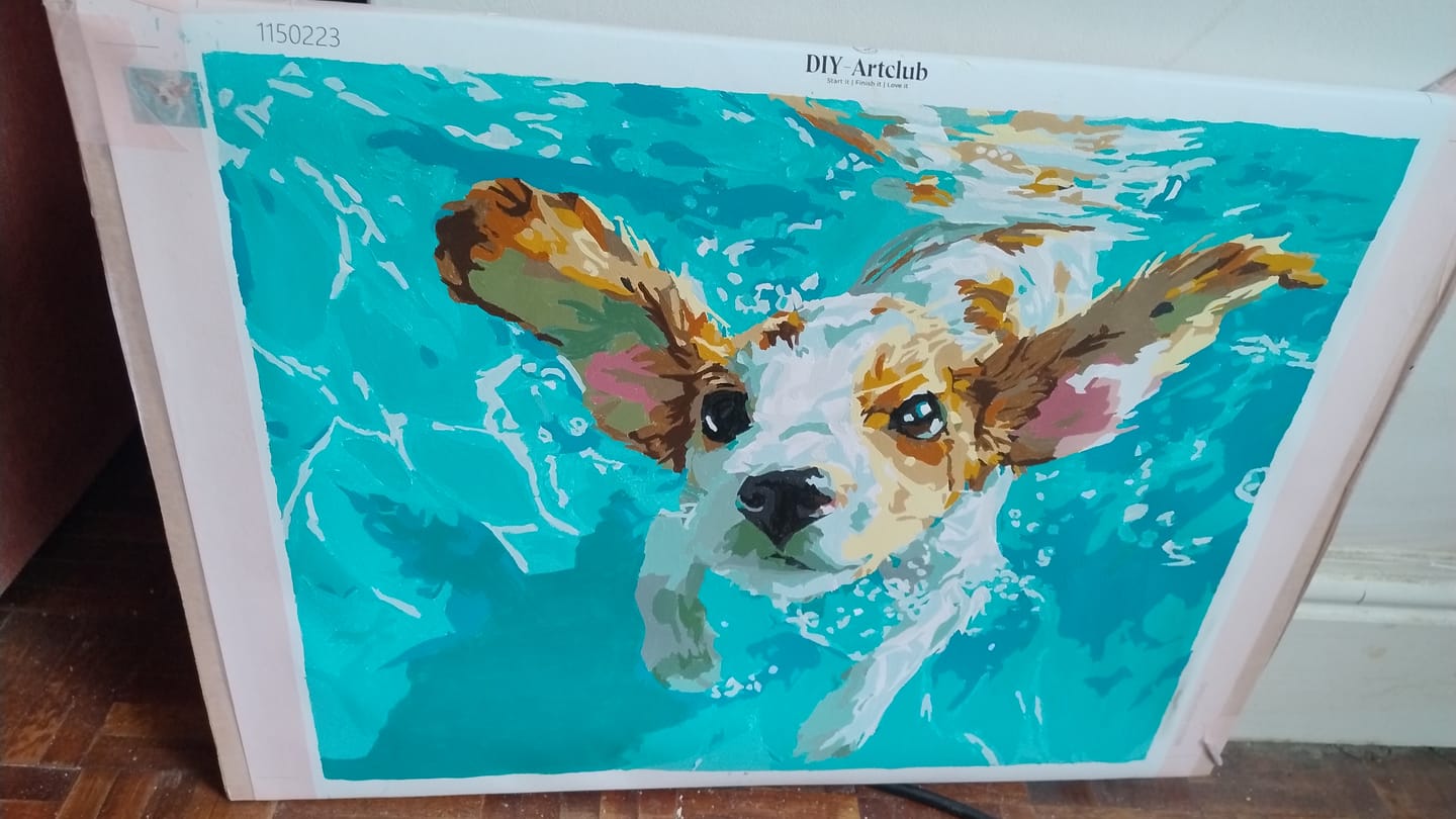 Customer photo review of Underwater swimmer | Paint by Number