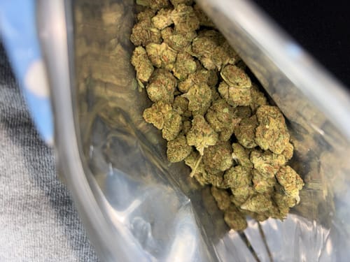 Customer photo review of Light Assist THCA Smalls