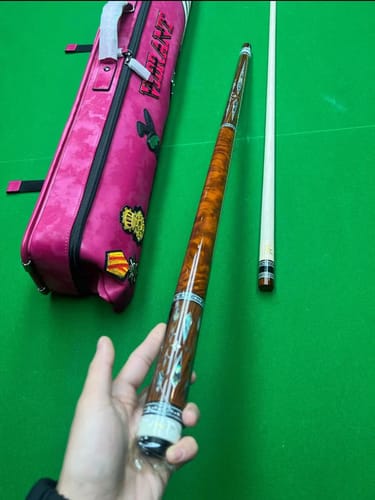 Customer photo review of Lizard Rainbow Series Cue Case 3B4S