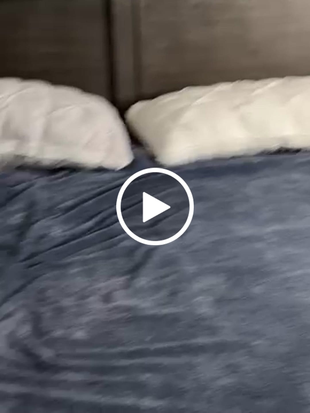 Customer video review of Ploof Pillow