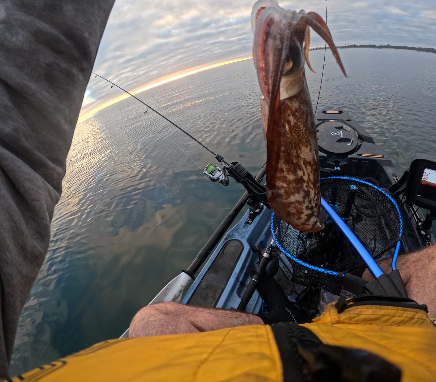 Customer photo review of Super UV Bright Neon Black White Squid Jigs (Slow Sinking)