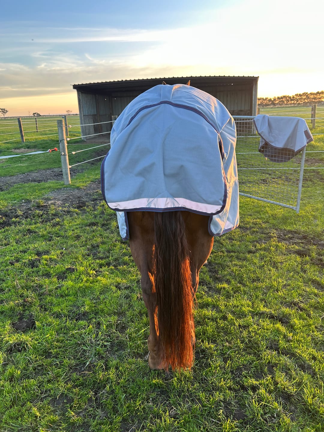 Customer photo review of LE Boxter Turnout Ripstop 50g