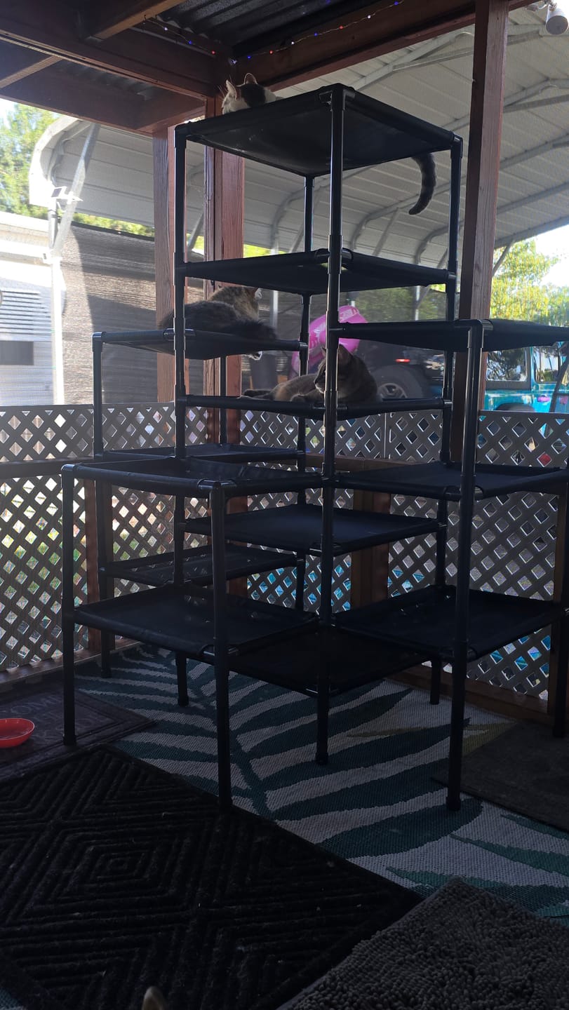 Customer photo review of Durable Cat Tower | Peak