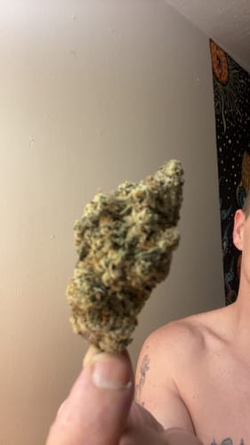 Customer photo review of Uncut Gems Exotic THCA Flower