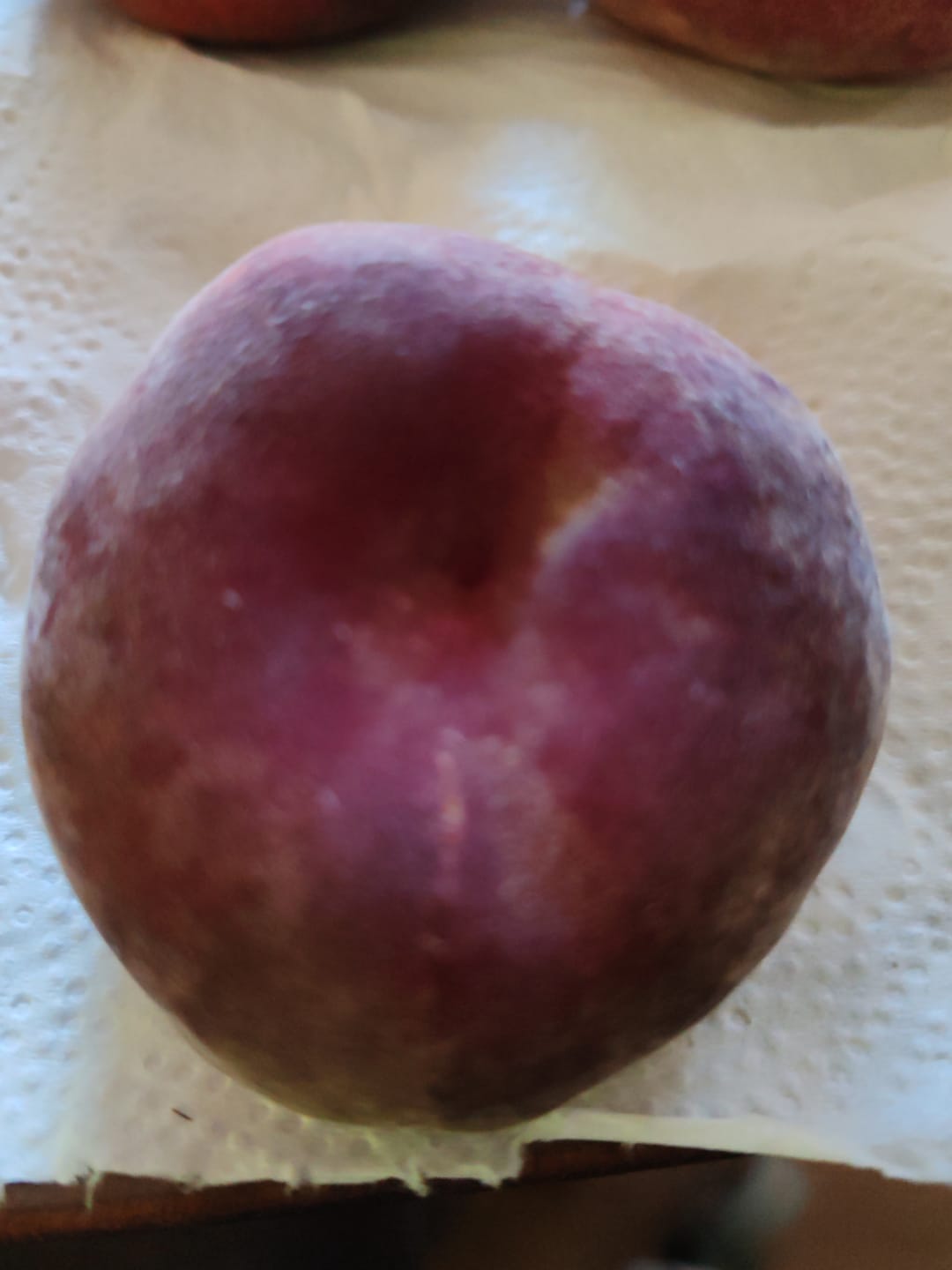 Customer photo review of Weinbergpfirsiche gelb Bio von Jose Miguel 2kg Box