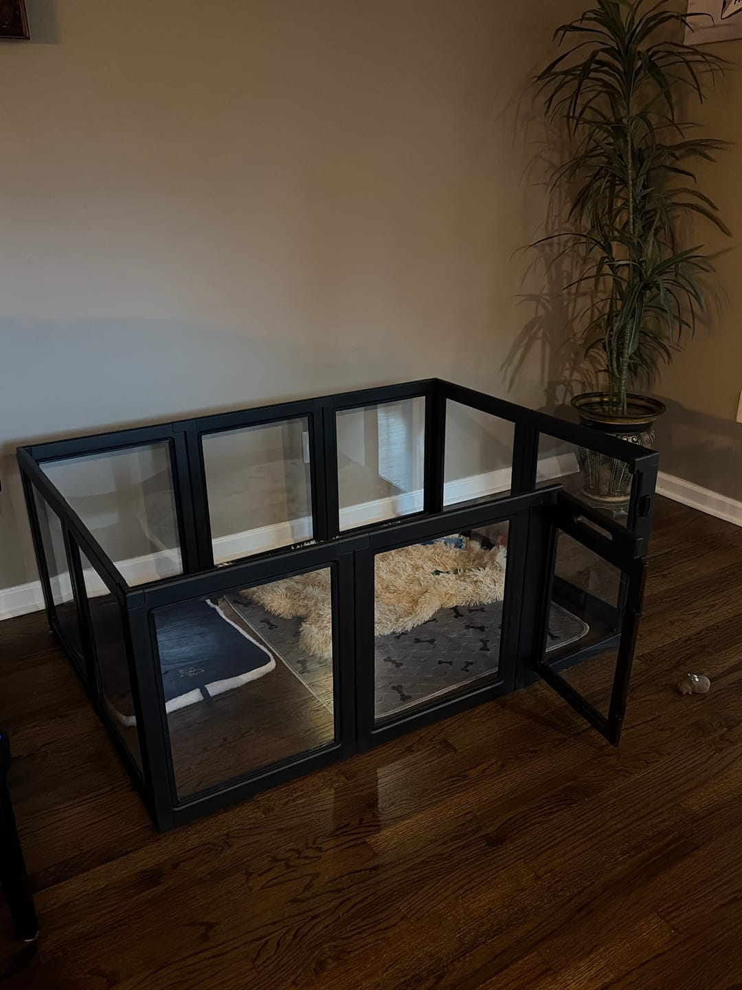 Customer photo review of AuraSpace Acrylic Indoor Dog Playpen for Small to Medium Dogs