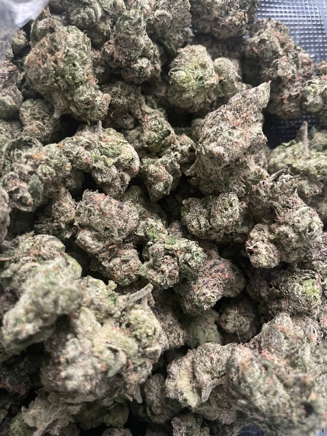 Customer photo review of Boutique Exotics Lemon Dior - Bulk - Hybrid