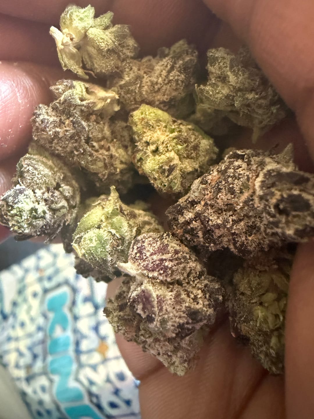 Customer photo review of Biscotti Cake - 28 Grams - Hybrid