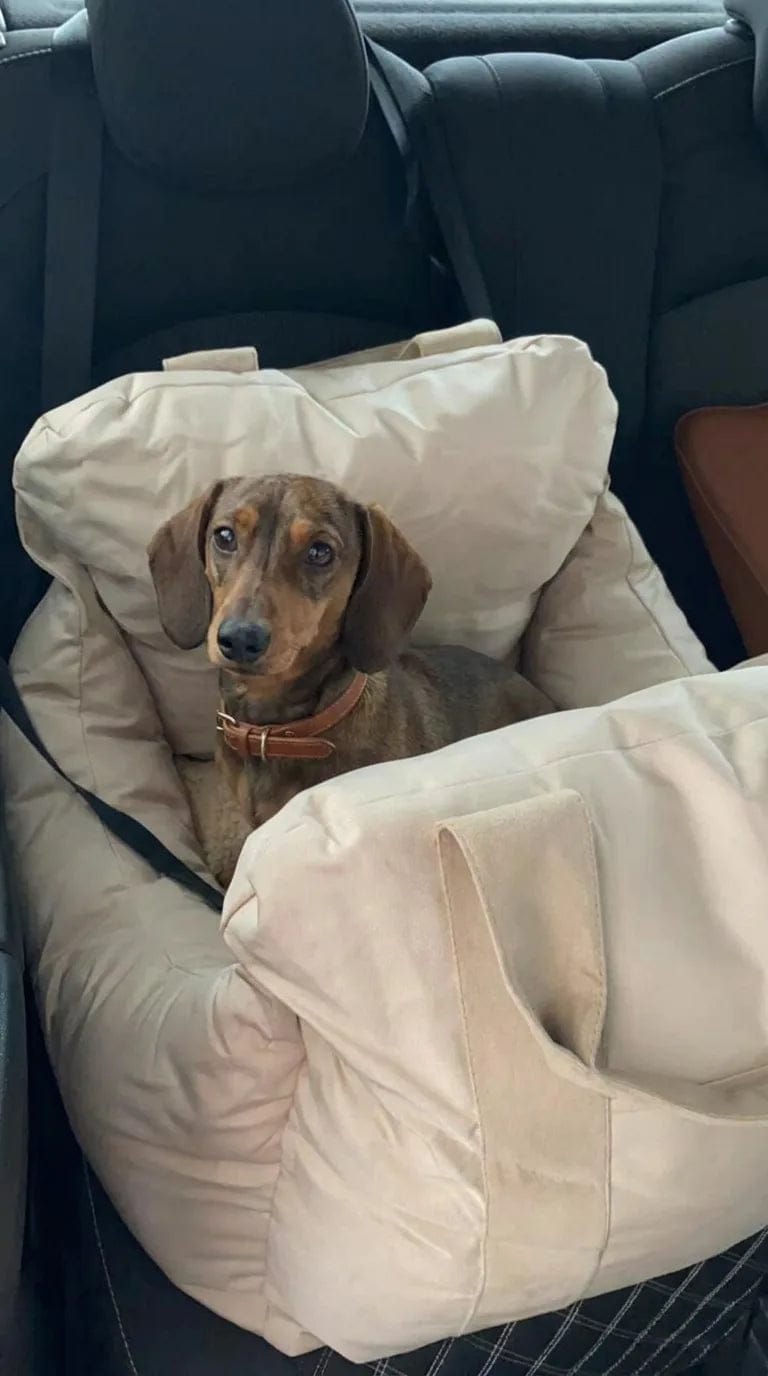 Customer photo review of Panier de transport chien voiture