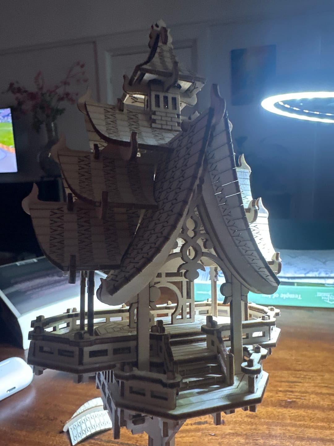 Customer photo review of Temple of Joy