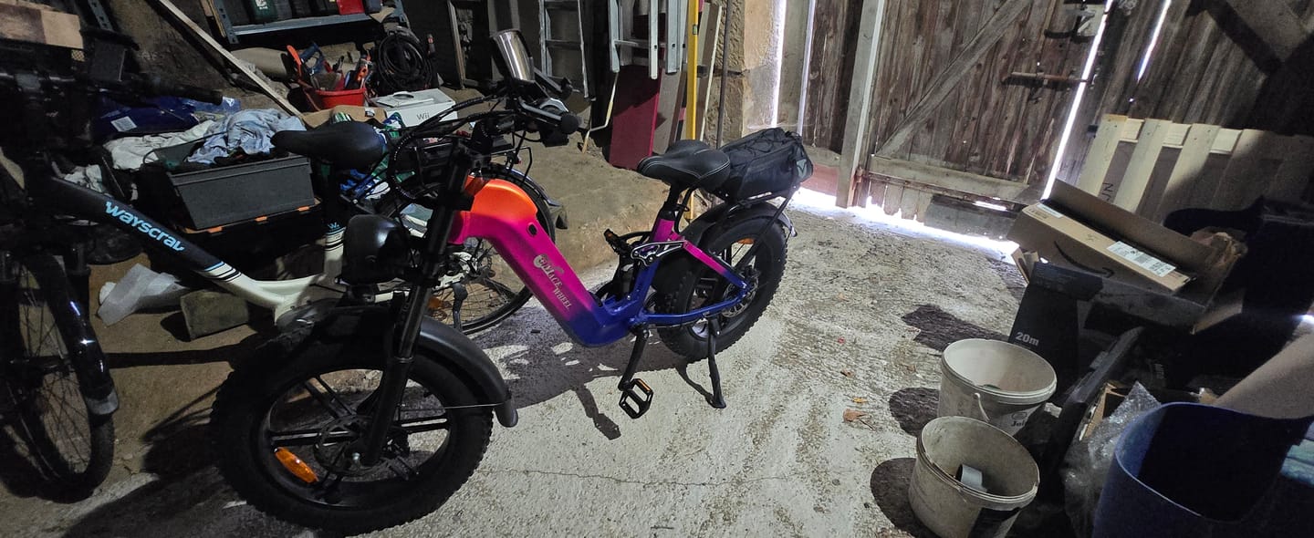 Customer photo review of CMACEWHEEL V20 750W 20" Fat Bike 960Wh Full Suspension E-bike with Torque Sensor 48V 20Ah Battery