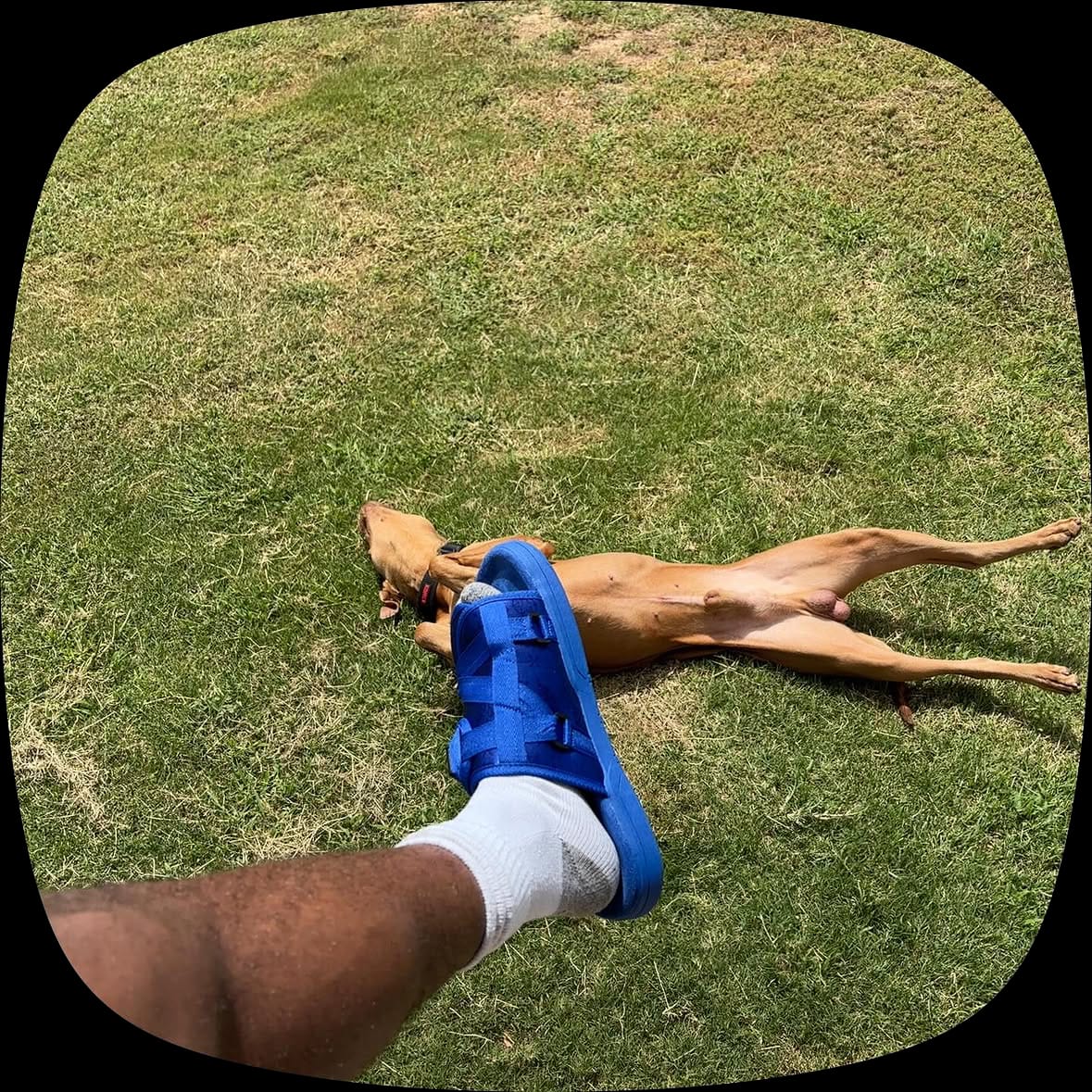 Customer photo review of Mystery Slides