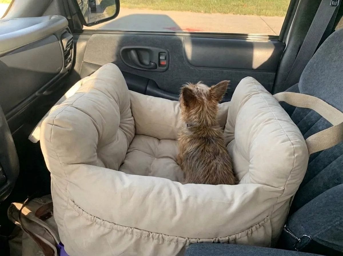 Customer photo review of Panier de transport chien voiture
