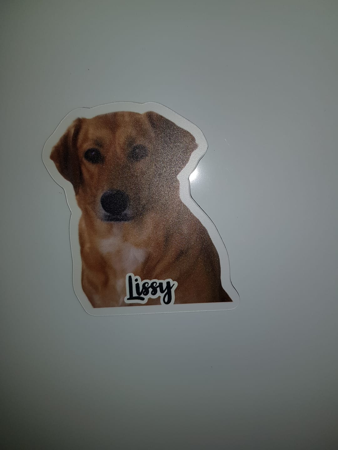 Customer photo review of Personalisierter Magnet - Dein Foto mit Hund