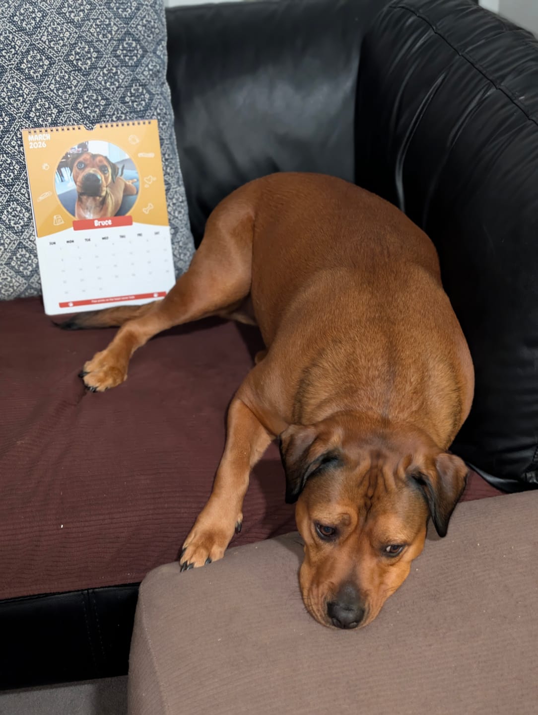 Customer photo review of Birthday Month