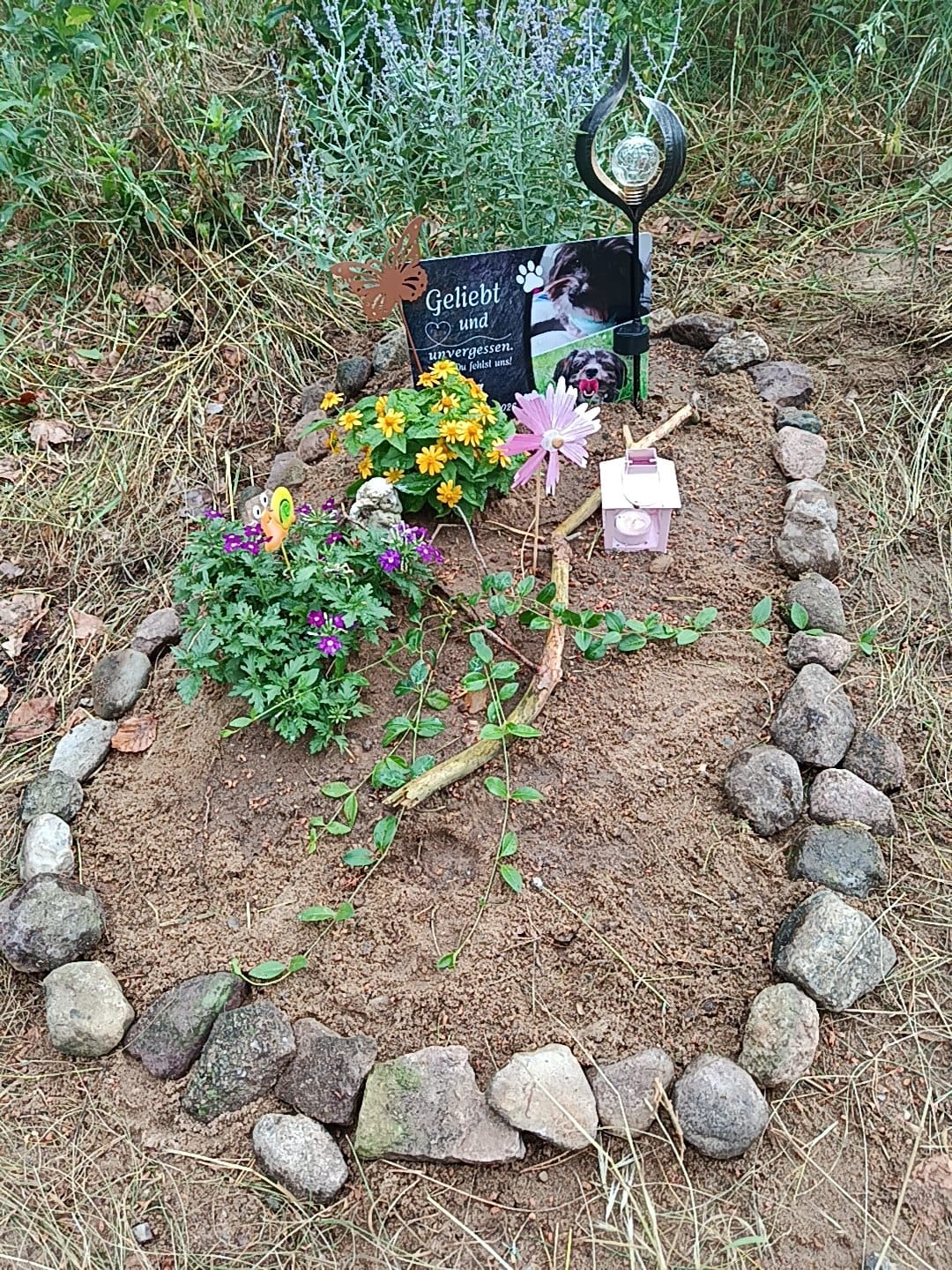 Customer photo review of Hunde Gedenktafel mit Foto & Spruch (UV- & Wetterfest)