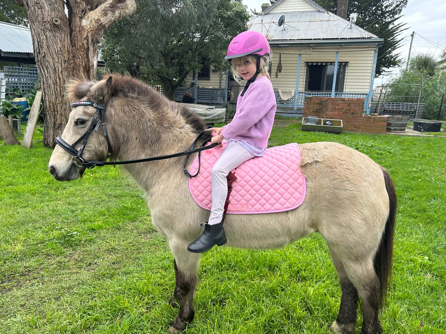 Customer photo review of Ulcer Armour+