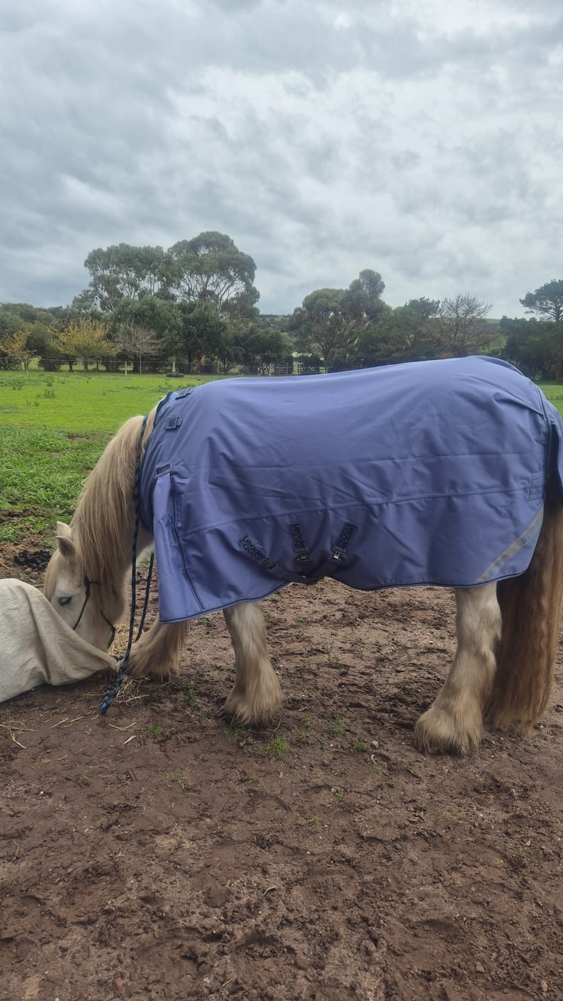 Customer photo review of LE Boxter Turnout Ripstop 50g