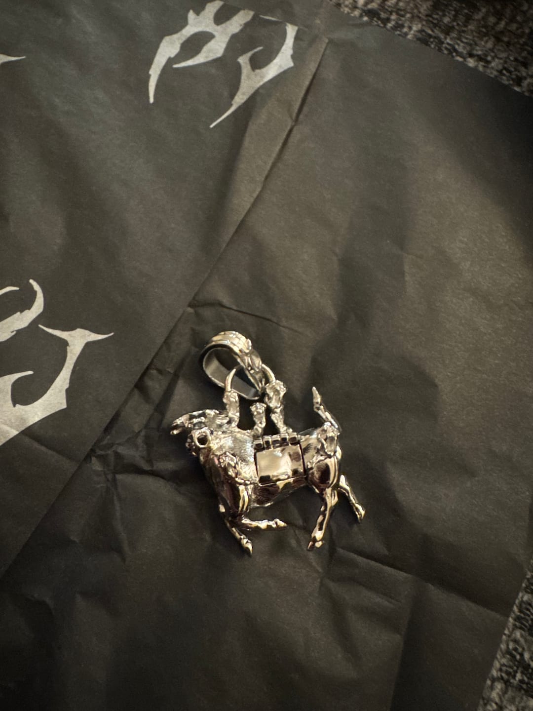 Customer photo review of ZODIAC PENDANTS