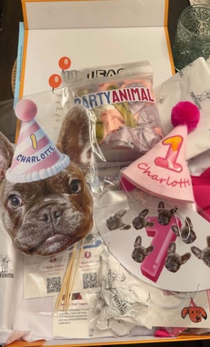 Customer photo review of Lite Personalized Dog Party Pack