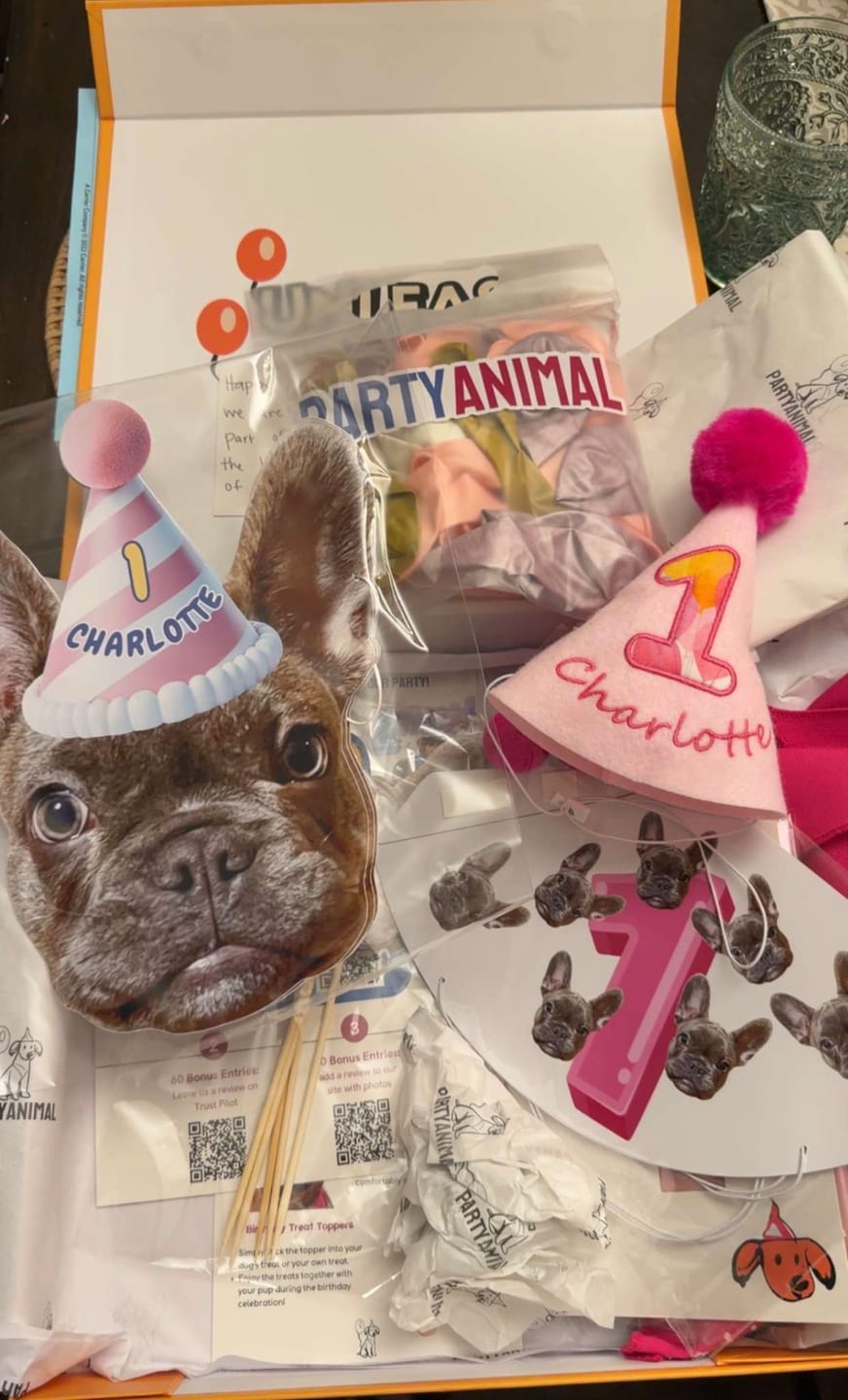 Customer photo review of Lite Personalized Dog Party Pack