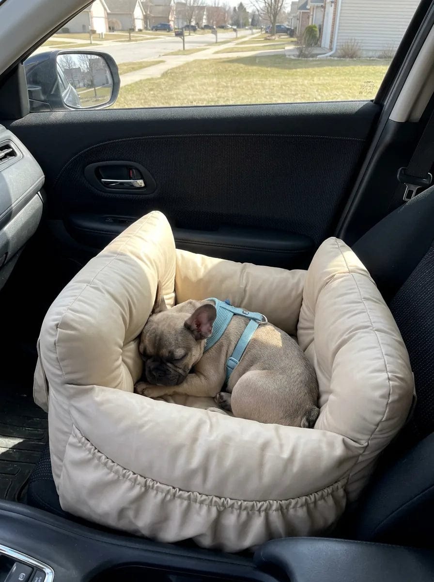 Customer photo review of Panier de transport chien voiture