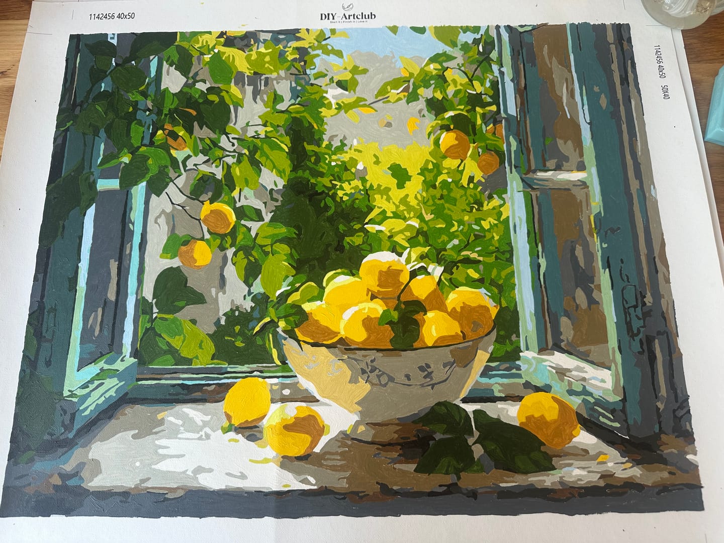 Customer photo review of Lemon Bowl at the Window | Paint by Number