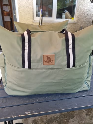 Reviewer's new light green Dog Dock V2 with striped straps, sitting on an outdoor table.