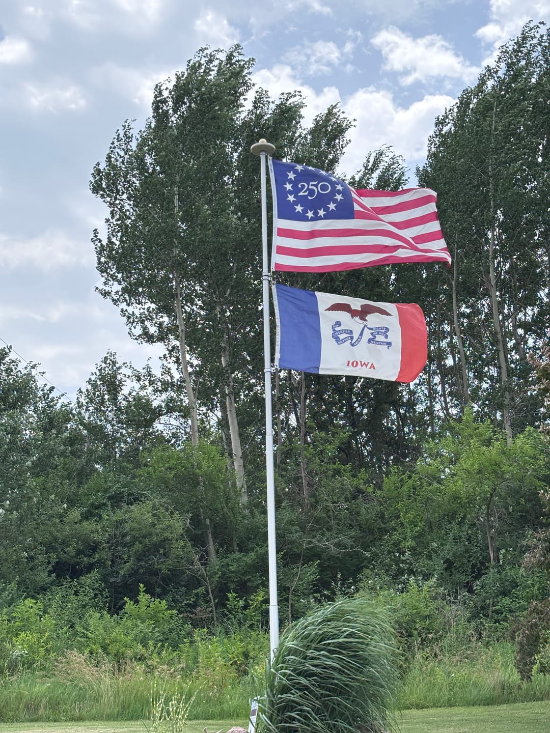 Customer photo review of America 250™ Betsy Ross Flag - Fully Printed Nylon