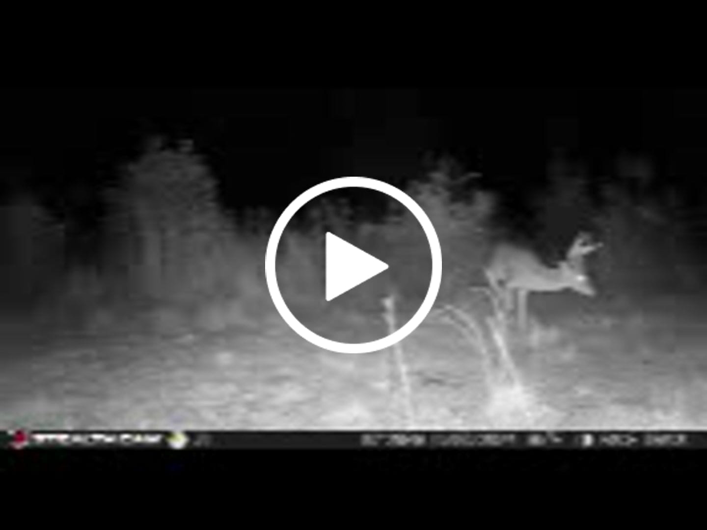 Customer video review of FLASH SALE VisX/VisMax 270 Degree Ground Blind | See-Through Duck Blind & Portable Pop-Up Deer Blind | Camouflage Hunting Blinds & Best Budget Ground Options