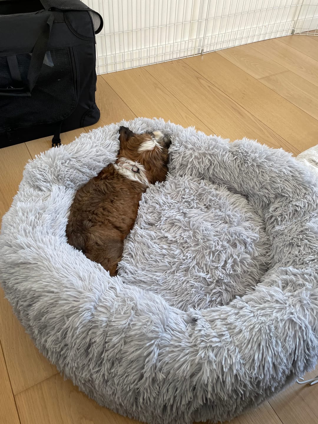 Customer photo review of CalmBed överdrag