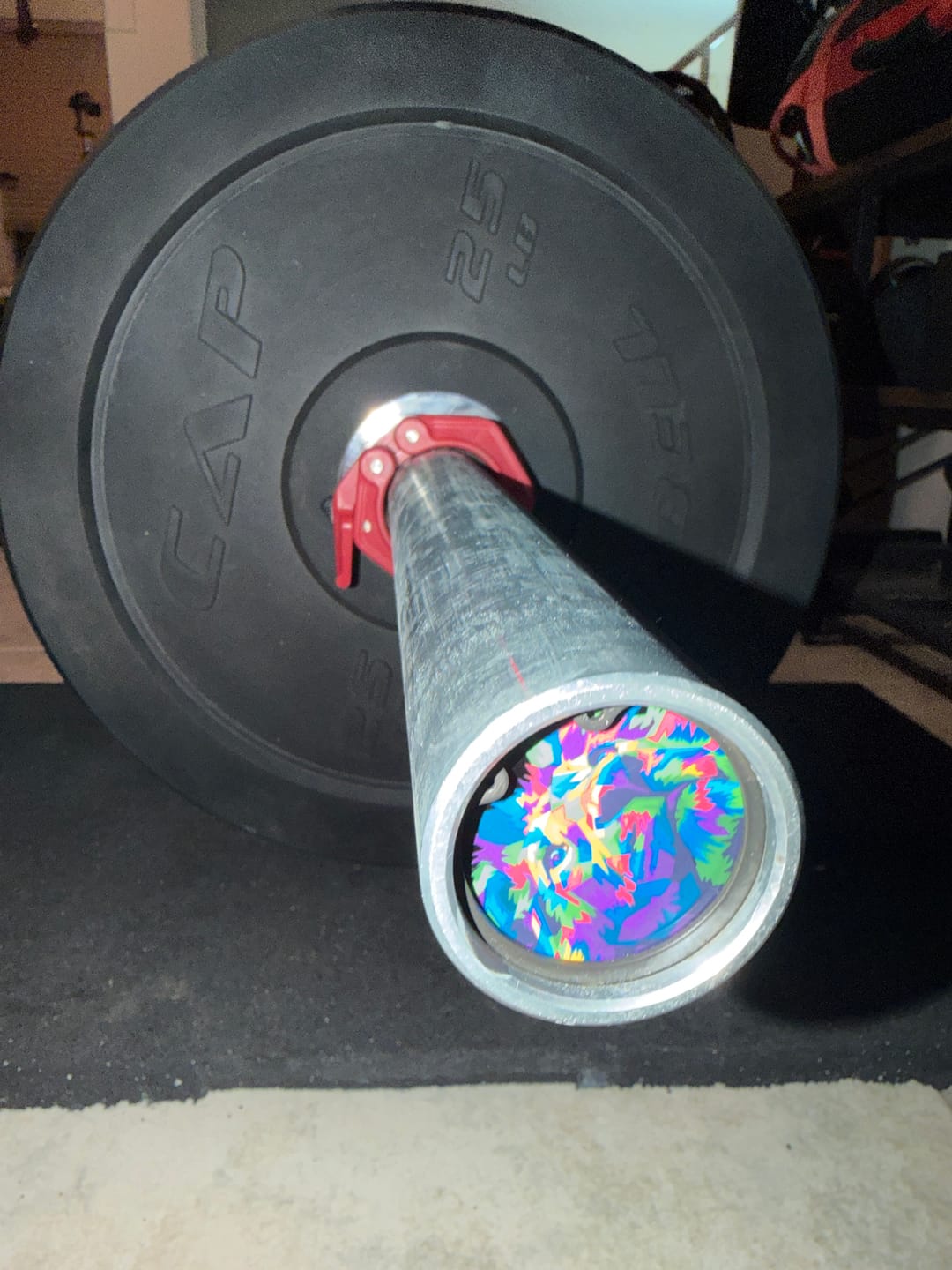 Customer photo review of The Lion Spirit Barbell End Caps