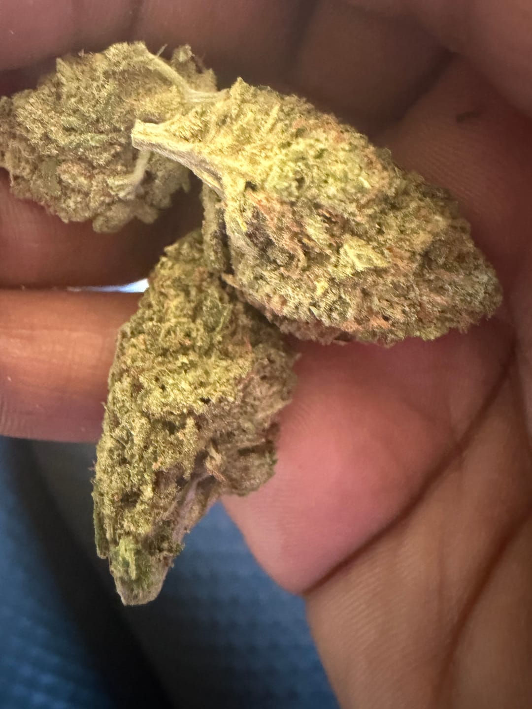 Customer photo review of Green Crack - 14 Grams - Sativa